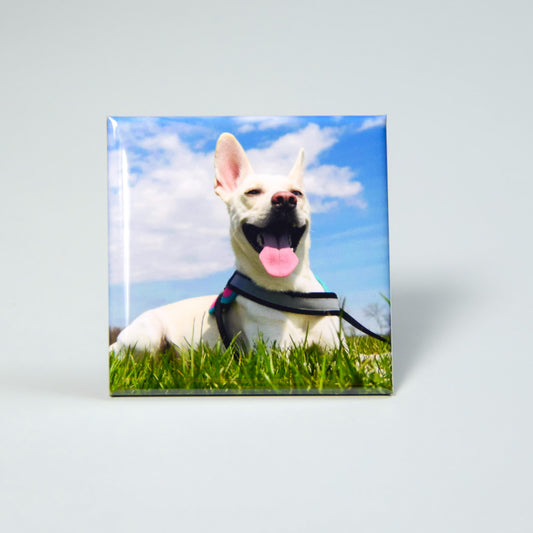 Custom Photo Magnets