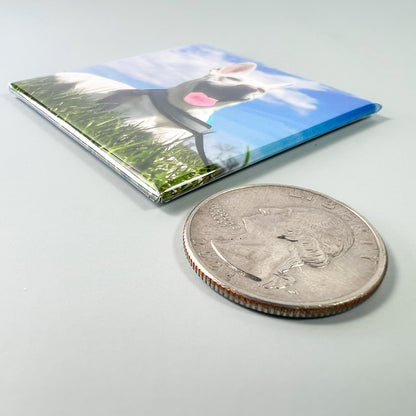 Custom Photo Magnets