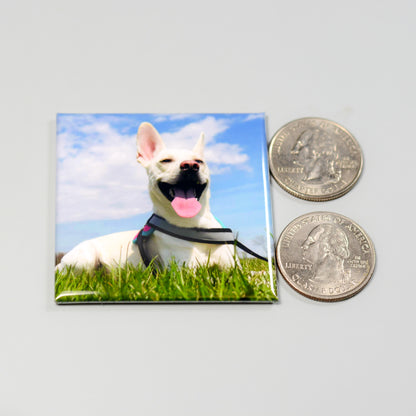 Custom Photo Magnets