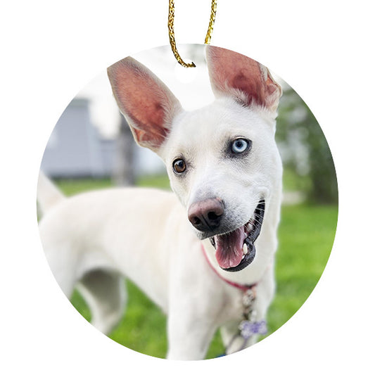 Custom Photo Ornaments